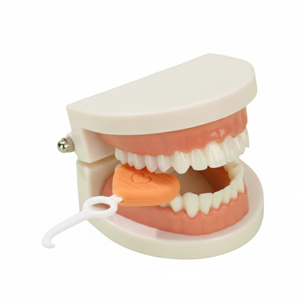 aligner chewies